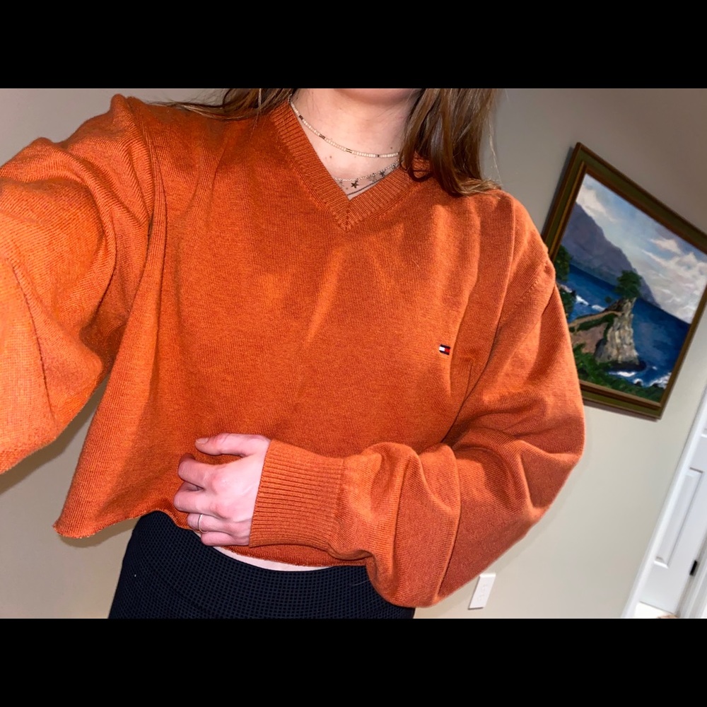 Tommy Hilfiger cropped sweater in rust (:
